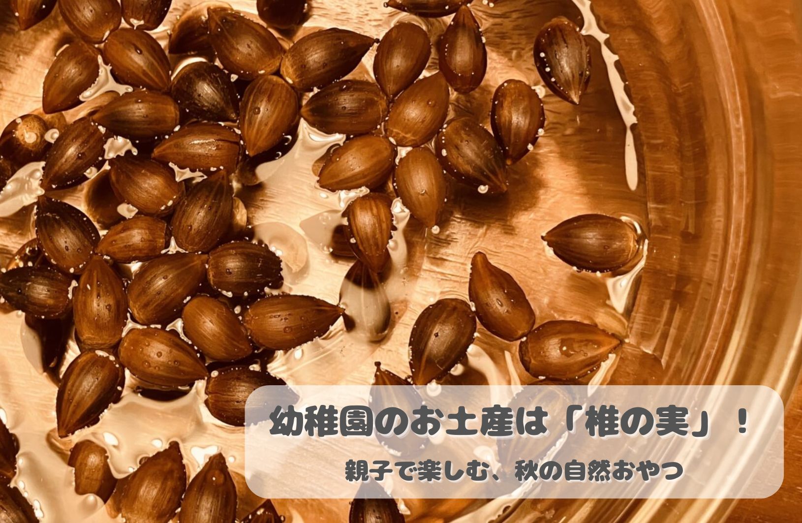 公園で拾える秋の宝物!親子で楽しむ「椎の実」